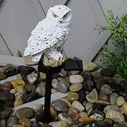 Solar Owl Light, Solar Lights Owl Floor Lights, Solar Powered Multi-Purpose Figurine Lights for Garden