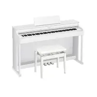 在飛比找momo購物網優惠-【CASIO 卡西歐】AP-470 88鍵數位鋼琴 白色(代