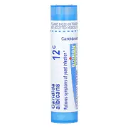 Boiron, Candida Albicans, 12C, Yeast Infection Relief, Approx. 80 Pellets