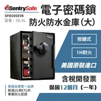 在飛比找樂天市場購物網優惠-美國SentrySafe 電子密碼鎖防火防水金庫（大） SF