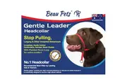 Gentle Leader Headcollar Blue