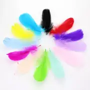 50pcs Goose Feathers 8-12cm 13 Colours Craft Cake Wedding Party Decoration
