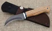 Knife Mushroom steel X12MF handle zebrano