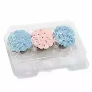 6 Cup Cupcake Container PET clear Plastic to go box 8 piece