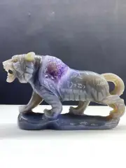 A++ Natural Amethyst Geode Agate Quartz Hand Carved Tiger Skull Crystal Decor