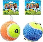 Trendy Pets Fetch Tennis Ball for Dogs, 10 cm Size