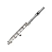 Axiom Beginner Piccolo Outfit - School Band Piccolo