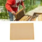 8 Frame Queen Bee Excluder for Bee Hive Beekeeping Sturdy Apiculture Equipment