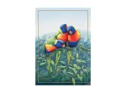 Maxwell & Williams Birds of Australia 10YR Anniversary Tea Towel 50x70cm Lori...