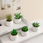 Mini Artificial Succulent Bonsai Fake Plants Simulation Bonsai Home Decor