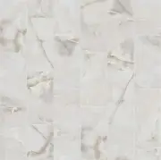 Shaw 338TS Gemstone - 12" x 24" Rectangle Tile - Polished Marble - White