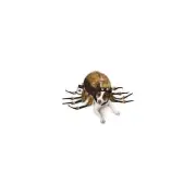 Zack & Zoey ZZ Fuzzy Tarantula Costume XS