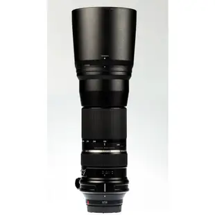 Tamron 150-600mm f/5-6.3 Di VC USD 窮人打鳥首選