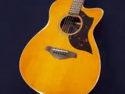 Yamaha Ac1R Vintage Natural Vn Fork Cutaway Body Back Panel Rosewood Model