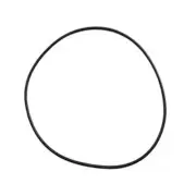 Pool Astral Hurlcon ZX Cartridge Filter Tank Lid O Ring o-ring