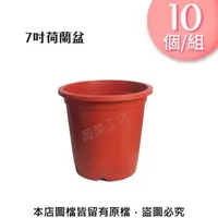 在飛比找特力屋線上購物優惠-[特價]7吋荷蘭盆(栽培盆)10個/組