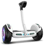 智能車 電動平衡車 兩輪平行車 智能平衡車 成人代步車 電動滑闆車 雙輪平衡車