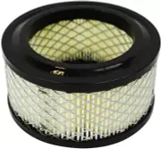 Interstate Pneumatics SA16F Air Intake Filter Element for Compressors
