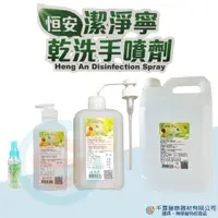 在飛比找蝦皮購物優惠-恆安潔淨寧乾洗手500ML/瓶 80ML/瓶 隨身瓶 酒精 