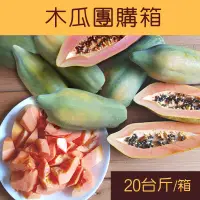 在飛比找台灣好農優惠-【梅埔有機農場】木瓜團購箱20斤