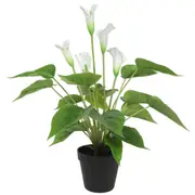 Artificial Flowering White Peace Lily / Calla Lily Plant 50cm