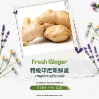 在飛比找蝦皮購物優惠-SC-2714，Fresh Ginger，特級印尼新鮮薑