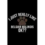 I JUST REALLY LIKE BELGIAN MALINOIS OK?: COOL BELGIAN MALINOIS DOG JOURNAL NOTEBOOK - FUNNY BELGIAN MALINOIS PUPPIES - BELGIAN MALINOIS OWNER GIFTS. 6