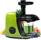 Premium Dual-Speed Slow Masticating Juicer for Fresh, Cold-Pressed Juices