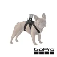在飛比找博客來優惠-【GoPro】Fetch 寵物專用胸背帶 ADOGM-001