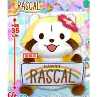 在飛比找蝦皮購物優惠-Rascal 小浣熊 拉斯卡爾 世界名作劇場 夏威夷限定款 