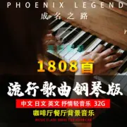 Pop Songs Piano Version Erhu Pipa Pure Light Music Car USB Flash Drive 16G