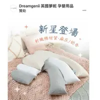 在飛比找蝦皮購物優惠-✨✨Dreamgenii 九成新孕婦枕