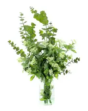 Creative Displays Farmhouse Mason Jar With Eucalyptus Floral Arrangement