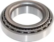 EPI Rear Axle Bearing (WE304517)
