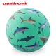 【美國Crocodile Creek】5吋兒童運動遊戲球-鯊魚世界