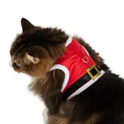 All Day Christmas Santa Clause Cat Harness