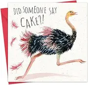 Twizler Funny Birthday Card Ostrich - Funny Card Blank - Women Humour - Funny Birthday Card Her - Female Birthday Card - Happy Birthday Card - Funny Animal Birthday Card Women - Card Women Birthday