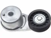Accessory Belt Tensioner 2GND55 for Land Rover LR3 2006 2005 2007 2008 2009 (for: Land Rover)