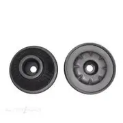 Transgold Strut Mount - TSM127