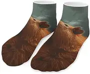 [QMNVBDS] Capybara with Eyes Closed Socks Ankle Length Socks Casual Short Socks for Women Men Low Cut Sports Socks Running Socks No Show Socks Ankle Socks Athletic Socks Workout Socks, Style, One Size