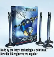 4 EXHAUST VALVES FIT TO Audi 04E109611J A1/A3 1.4 TSI 16V CPTA CMBA CXSB CXSA EX
