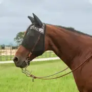 Cashel Quiet Ride Fly Mask - Leopard- Standard With Ears - Arab/Small Horse