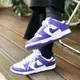 NIKE DUNK LOW RETRO COURT PURPLE 白紫葡萄 DD1391-104【彼得潘】