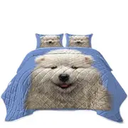 Cute Animal Art Adorable Samoyed Dog Puppy Coverlet