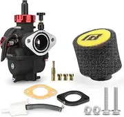 NIBBI PE22 carburetor Kit, 22mm Carburetor Kit with Carb Jets - Fit for 110cc 125cc 130cc Dirt Bike Pit Bike Apollo TaoTao Lifan Kayo SSR