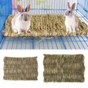 Grass Pet Mat for Reptiles, Rabbits, Ginuea Pigs Crates Liner, Cage Floor Chew