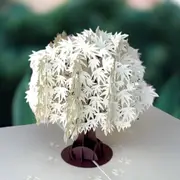 White Japanese Maple Tree Pop Up Card