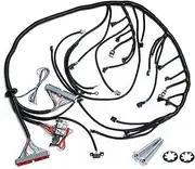 T56 DBC LS1 Standalone Wiring Harness Compatible with 1997-2006 T56 LS TH400 TH350 200-4R Or Non-Electric Wire Engines 4.8 5.3 6.0 Vortec Drive by Cable EV1 Fuel Injectors