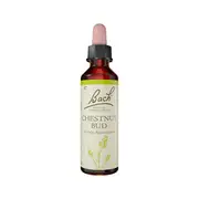 Juno Labs Bach Flower Remedies Bach Flower Remedies Chestnut Bud 20ml