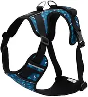 TOTTO - Heikul Dog Chest Harness, Size L, Small Dog Harness, Adjustable, Reflective Details, Loop and Handle, Easy to Fit, Lightweight with Blue and Green